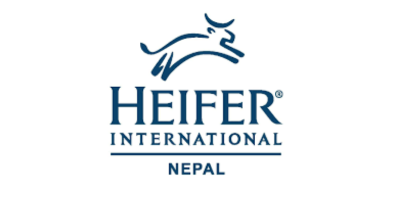 Heifer